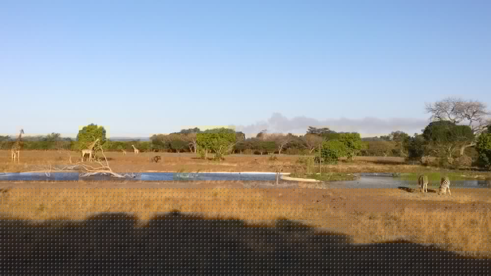 Bushlands Game Lodge 28/45