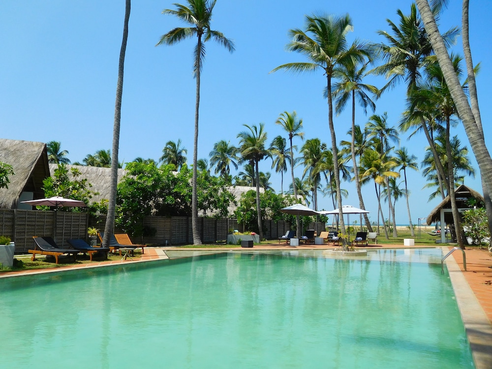 Blue Whale Beach Boutique Resort 26/29