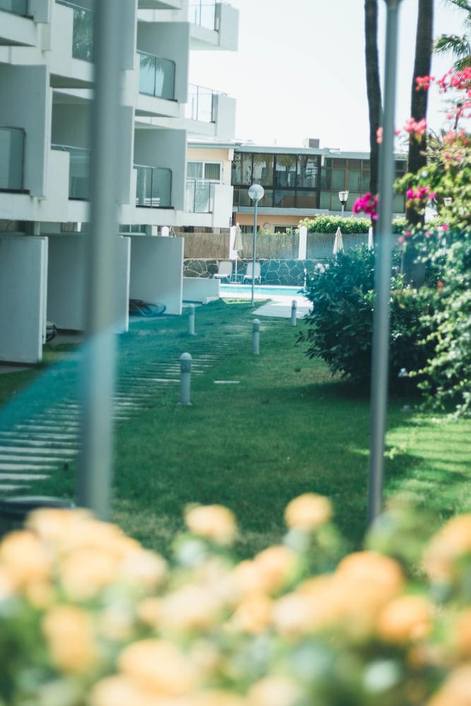 Apartamentos El Palmar 1/67