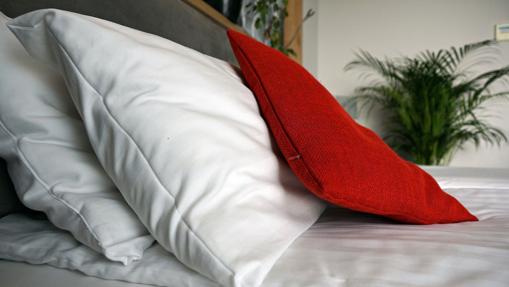 Hotel Forza photo4