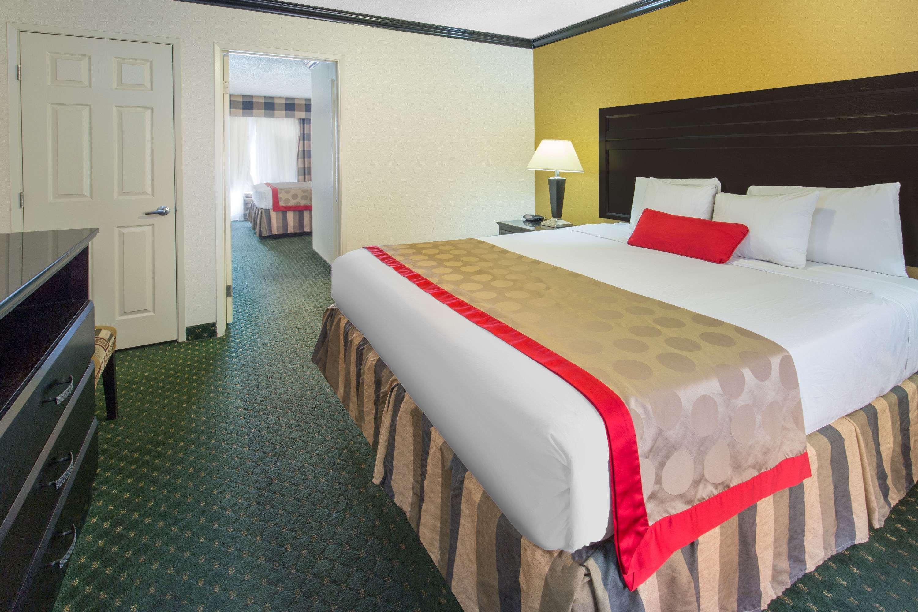 Suite, King Bed