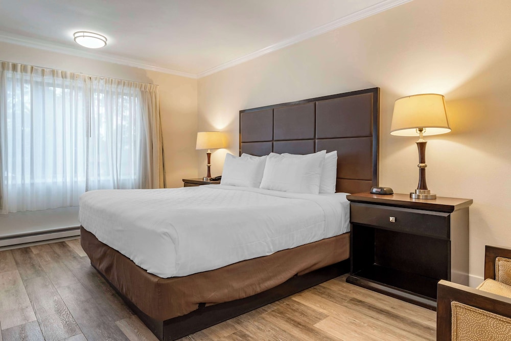 STANDARD, KING BED