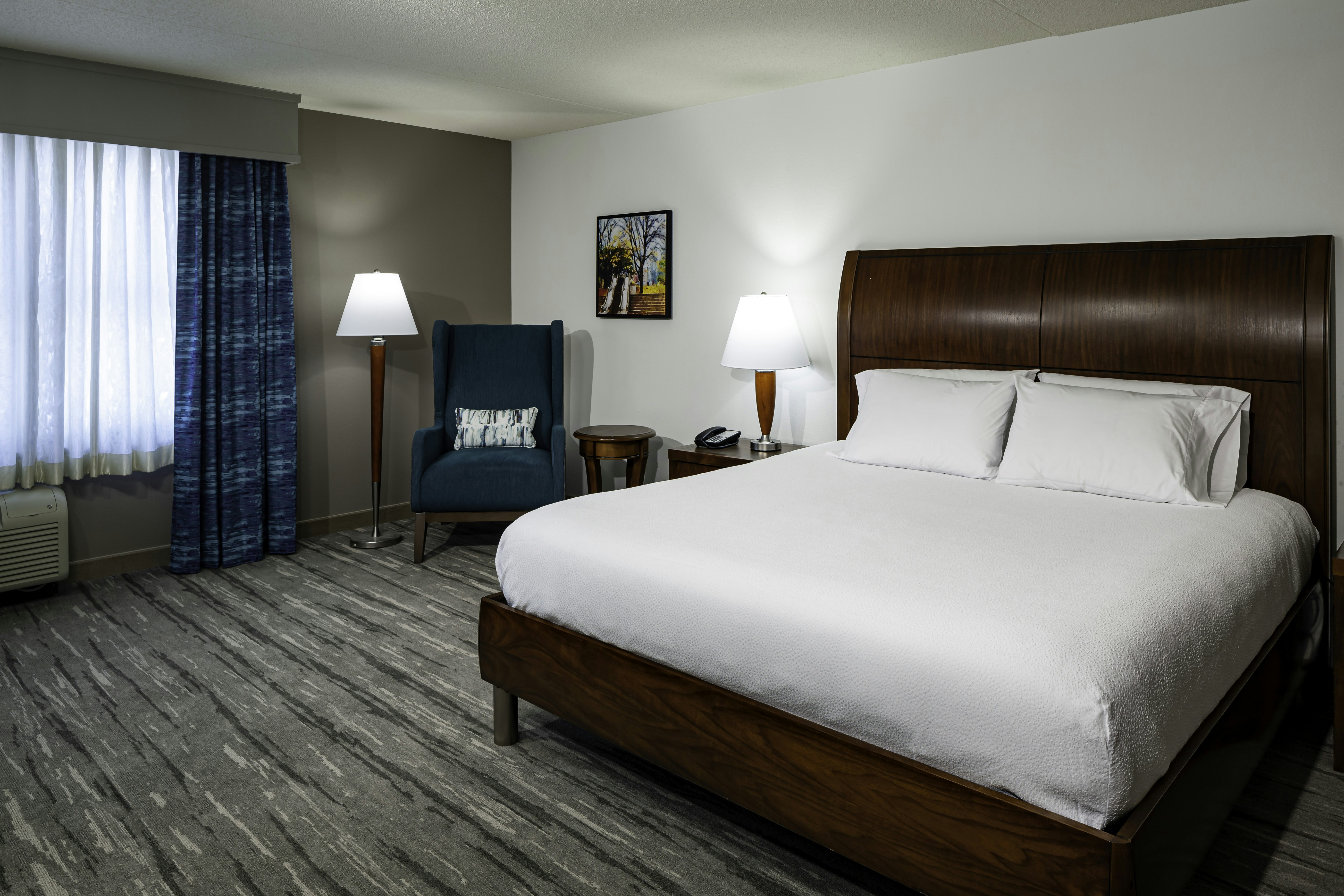ROOM, KING BED, ACCESSIBLE