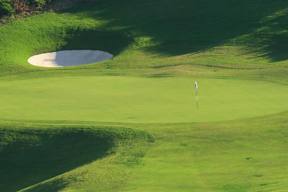 Pinnacle Point Golf Estate Fynbos 5 27/33