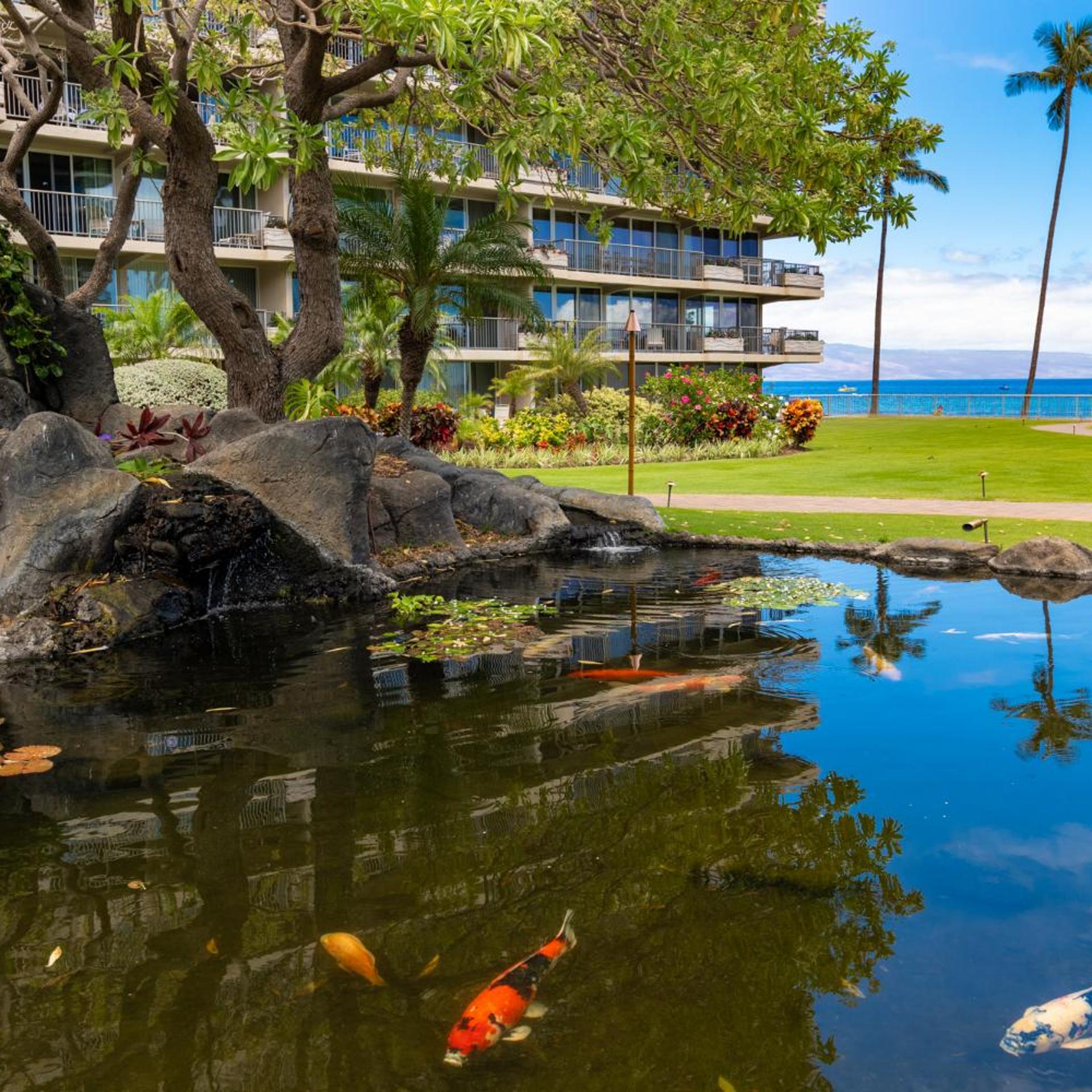 The Whaler Resort 5/50