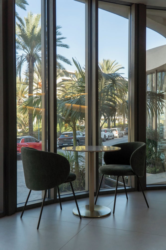 Cento Palme 27/41