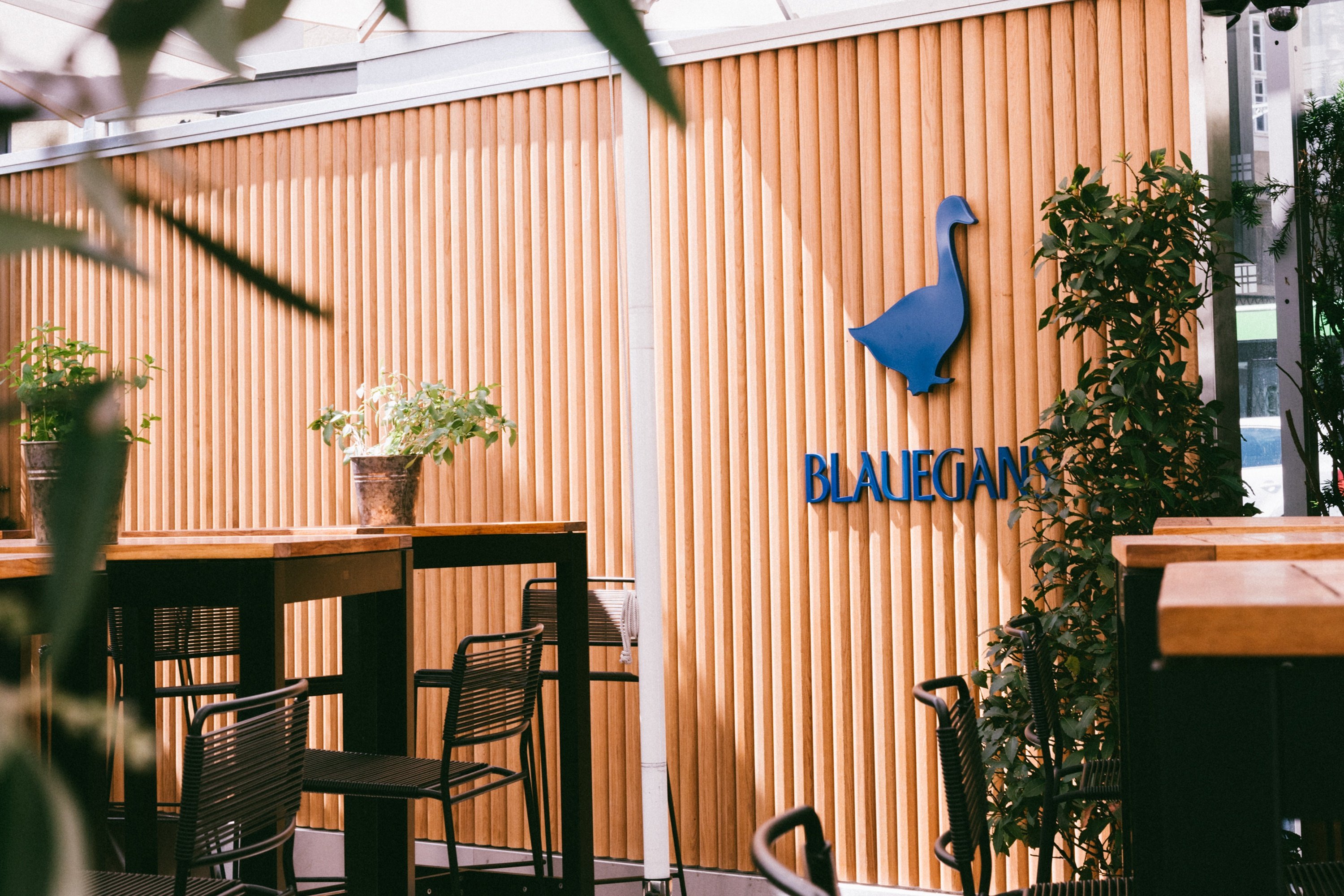 Arthotel Blaue Gans 2/76