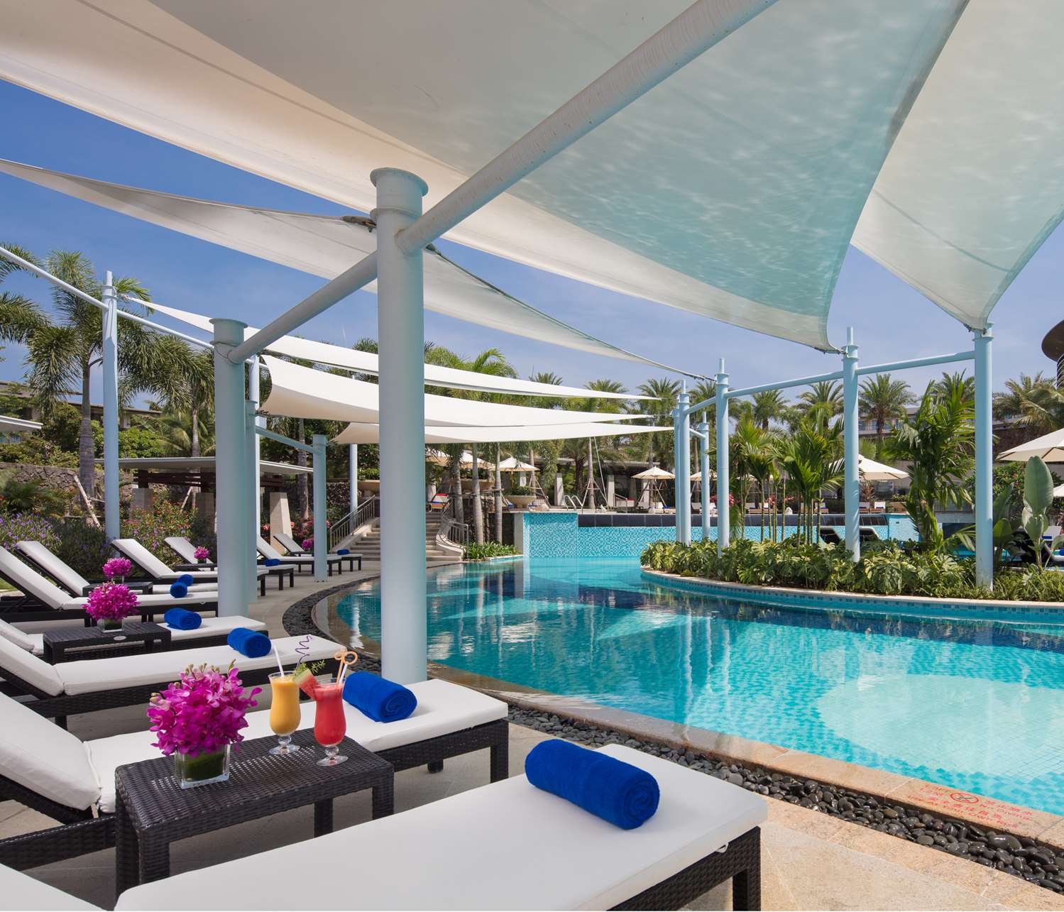 swimming pool spa