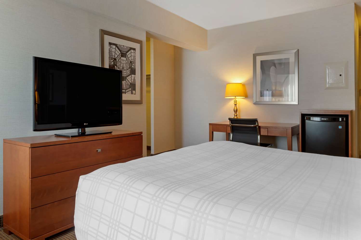 Suite, Queen Bed