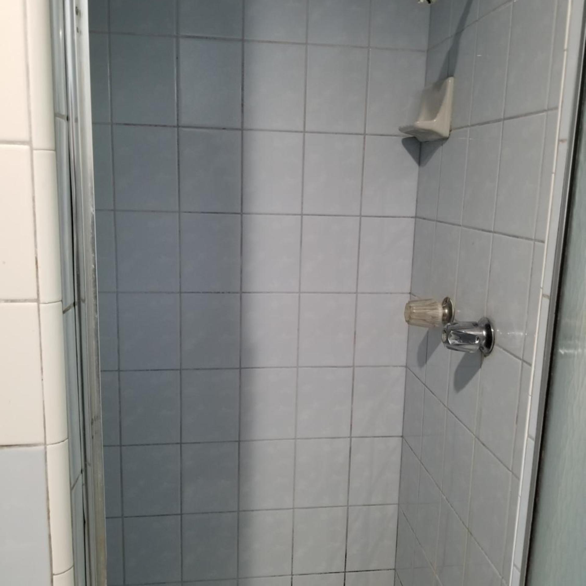 Rose motel 20/50