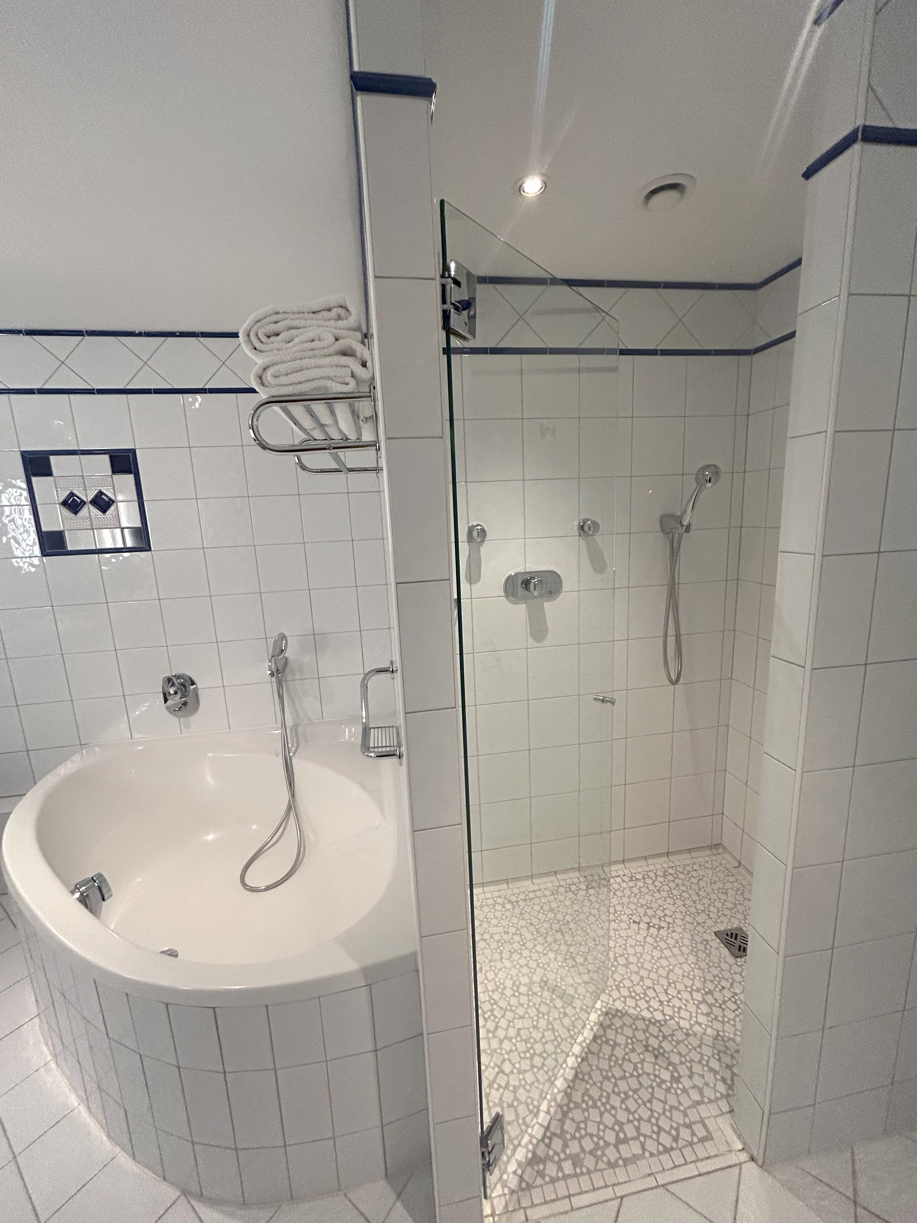 غرفة ديلوكس بسرير مزدوج بشرفة، Vichy Celestins Spa Hotel 5/5