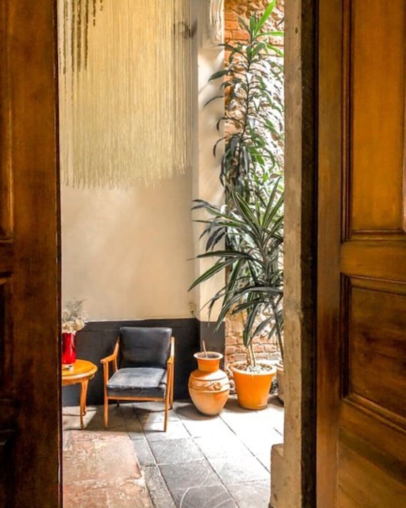 El Patio 77 5/50