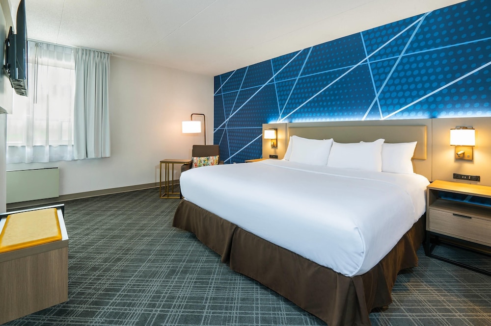 Upgrade, Suite, King Bed, Sofa