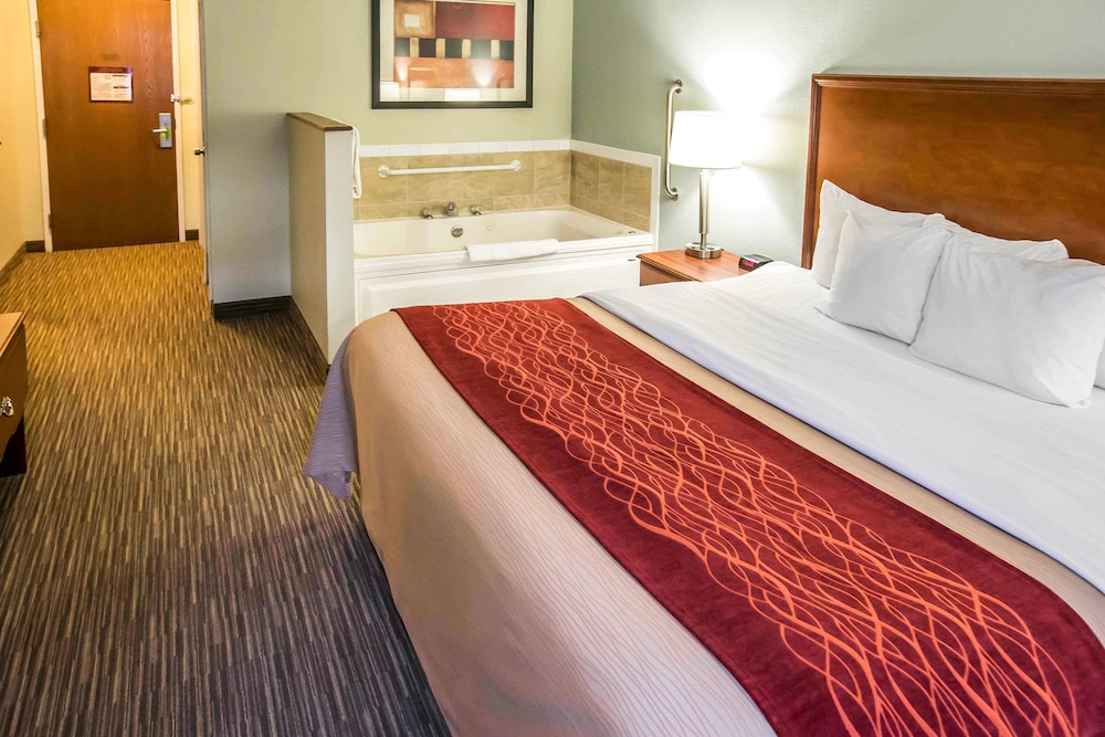 Comfort Inn Schereville, IN 8/42