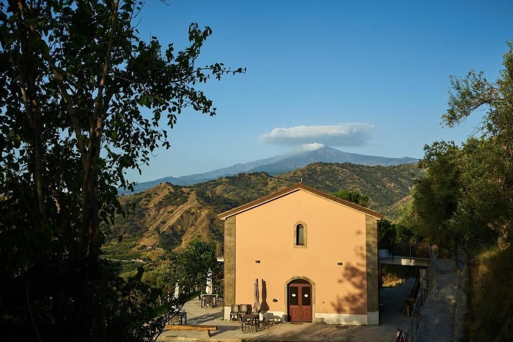 Antico Palmento Di Feo Coniglio 3/47