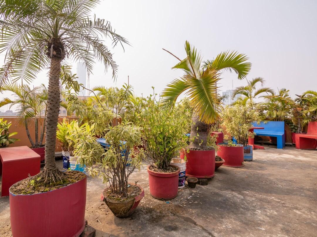 Sunflower Guesthouse 17/20