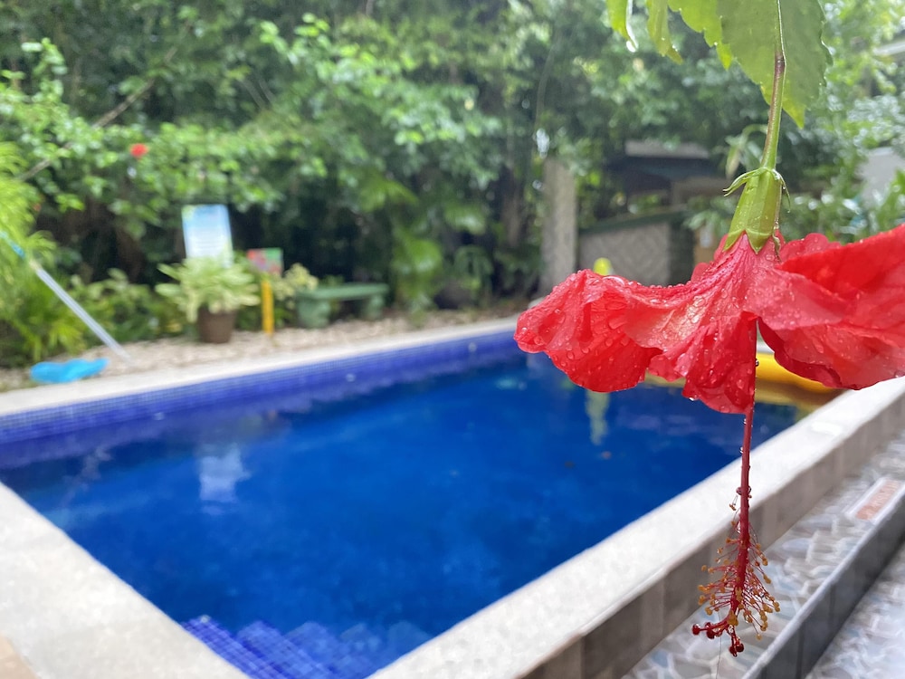 Hotel La Posada And Jungle 49/74