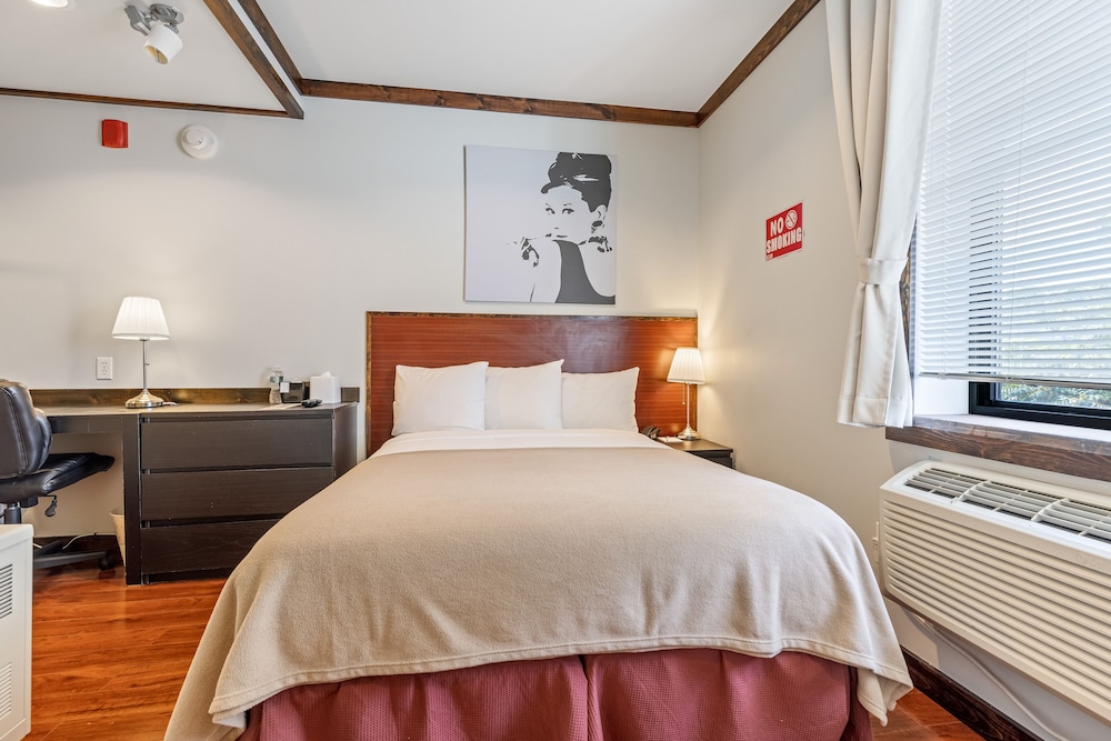 Lic Hotel 18/46