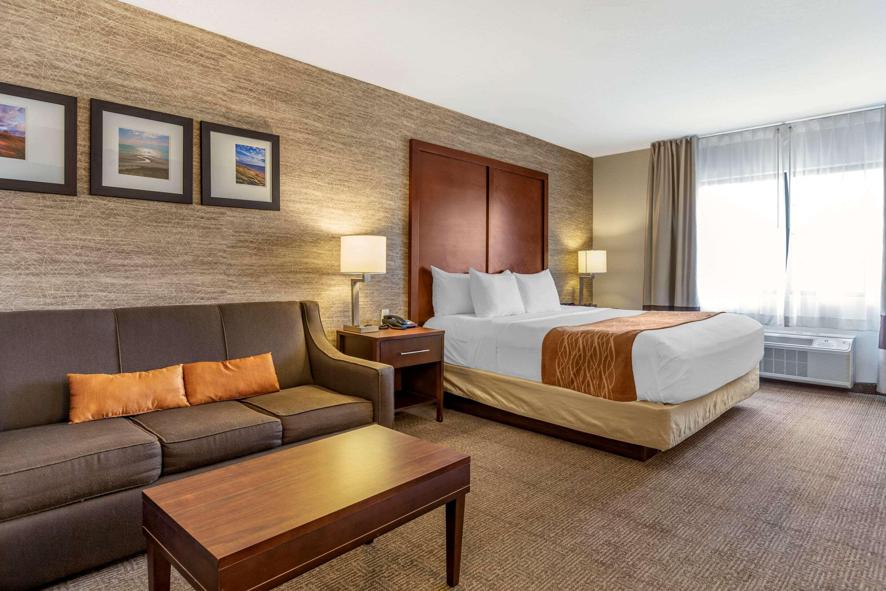 Room, Quadruple, King Bed