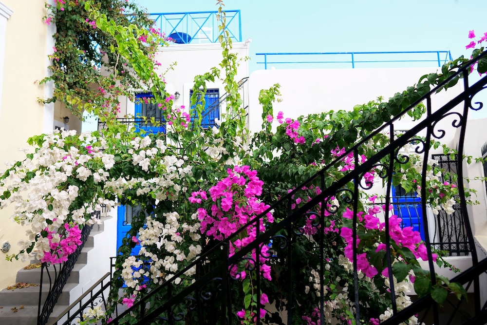 KYKLADONISIA 70/79
