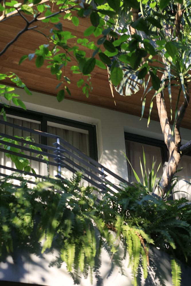 Cityhouse - City Oasis 2/50