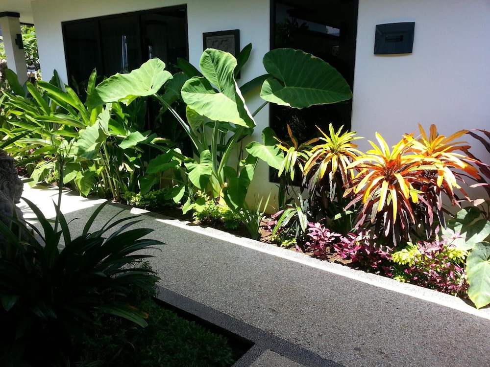 Kelapa Lovina Beach Villas 32/47