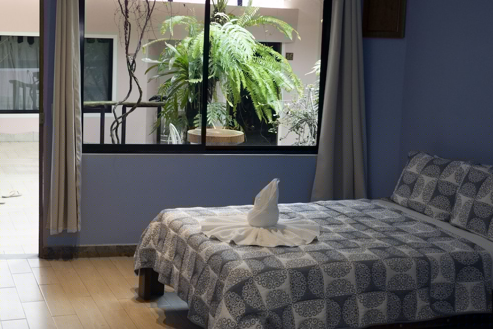 Hotel Vagabondo 32/72