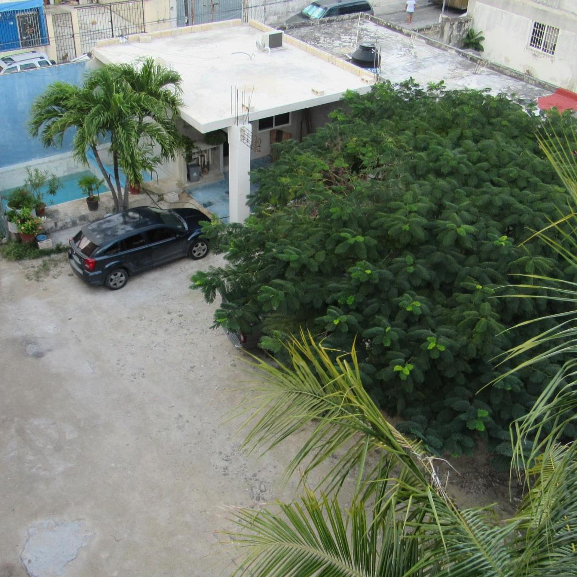 Blue Coconut Cancun 37/52