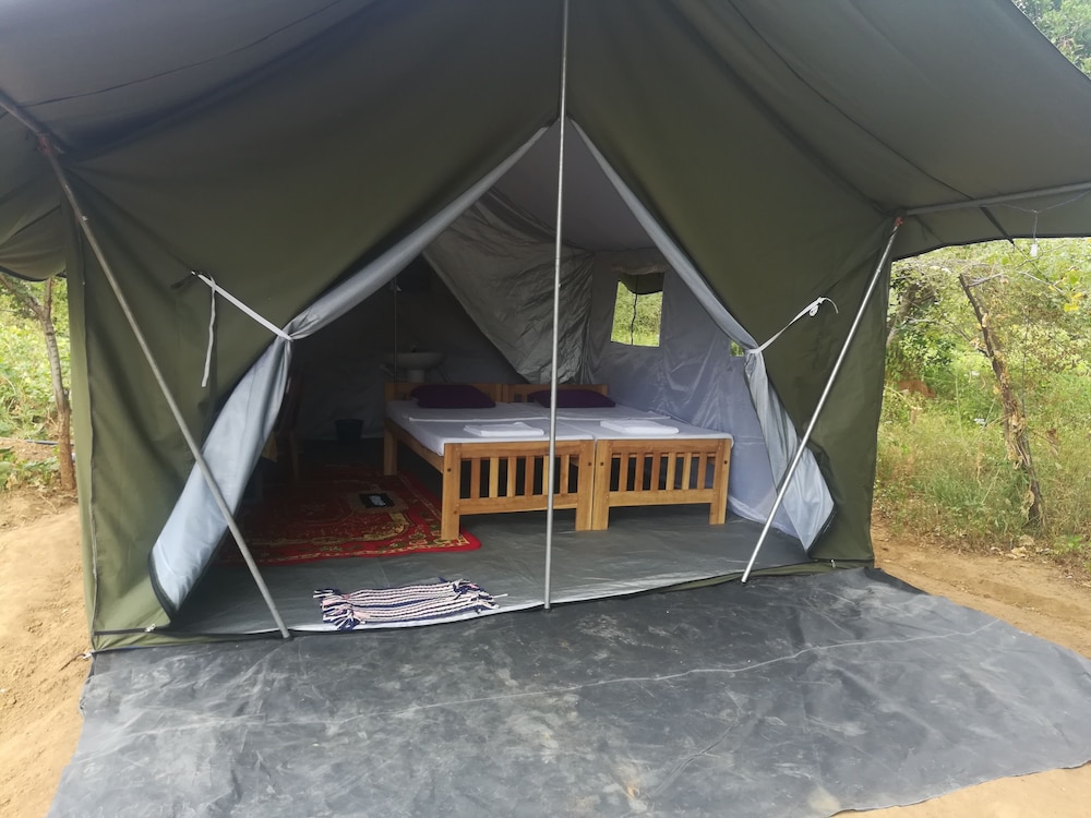 Wild Eco Safari 10/22