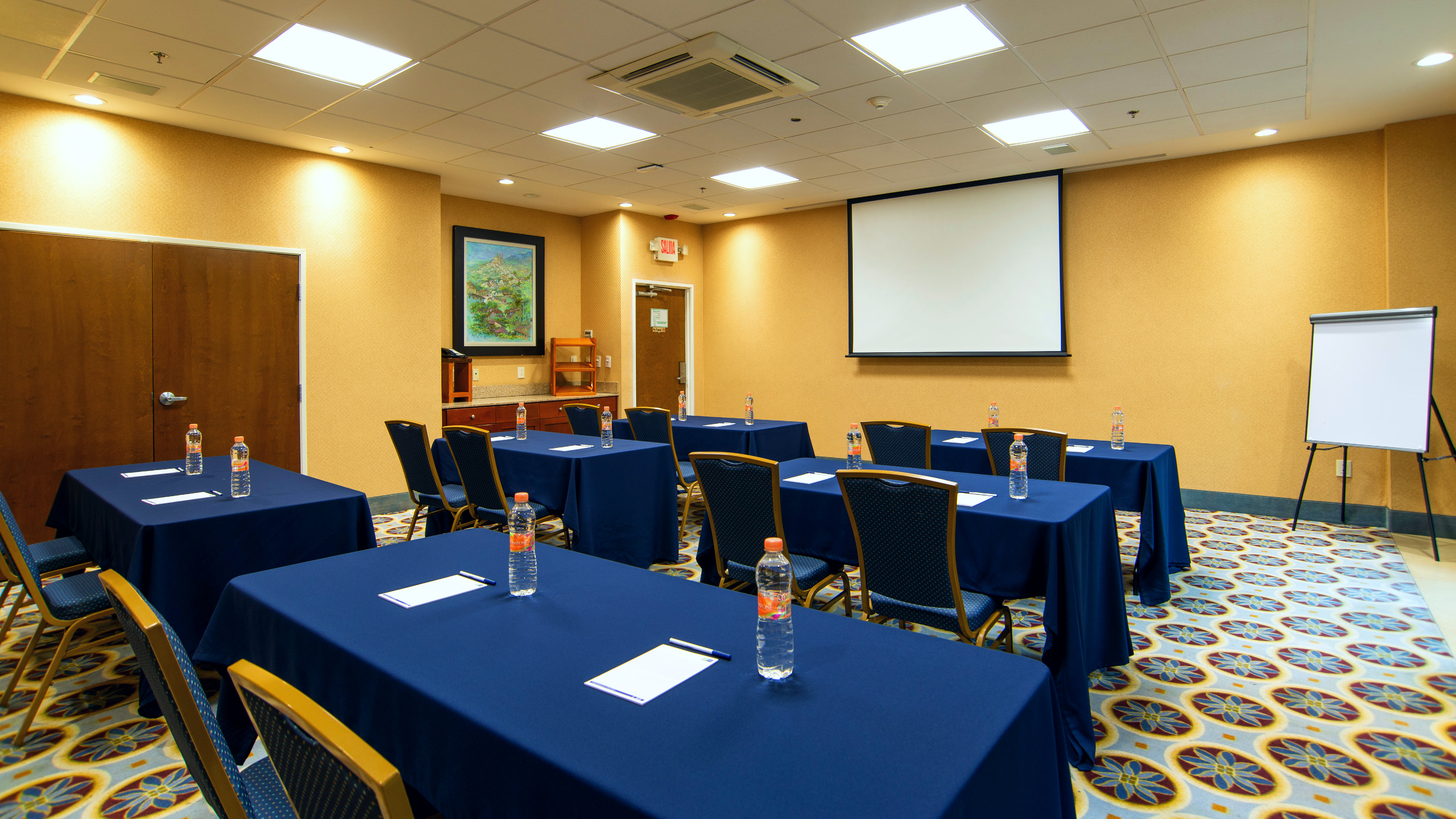 Holiday Inn Express & Suites Cuernavaca 30/50