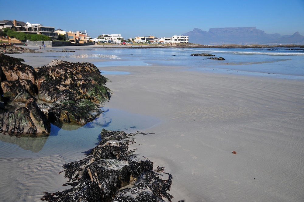 Bradclin Blouberg 19/24
