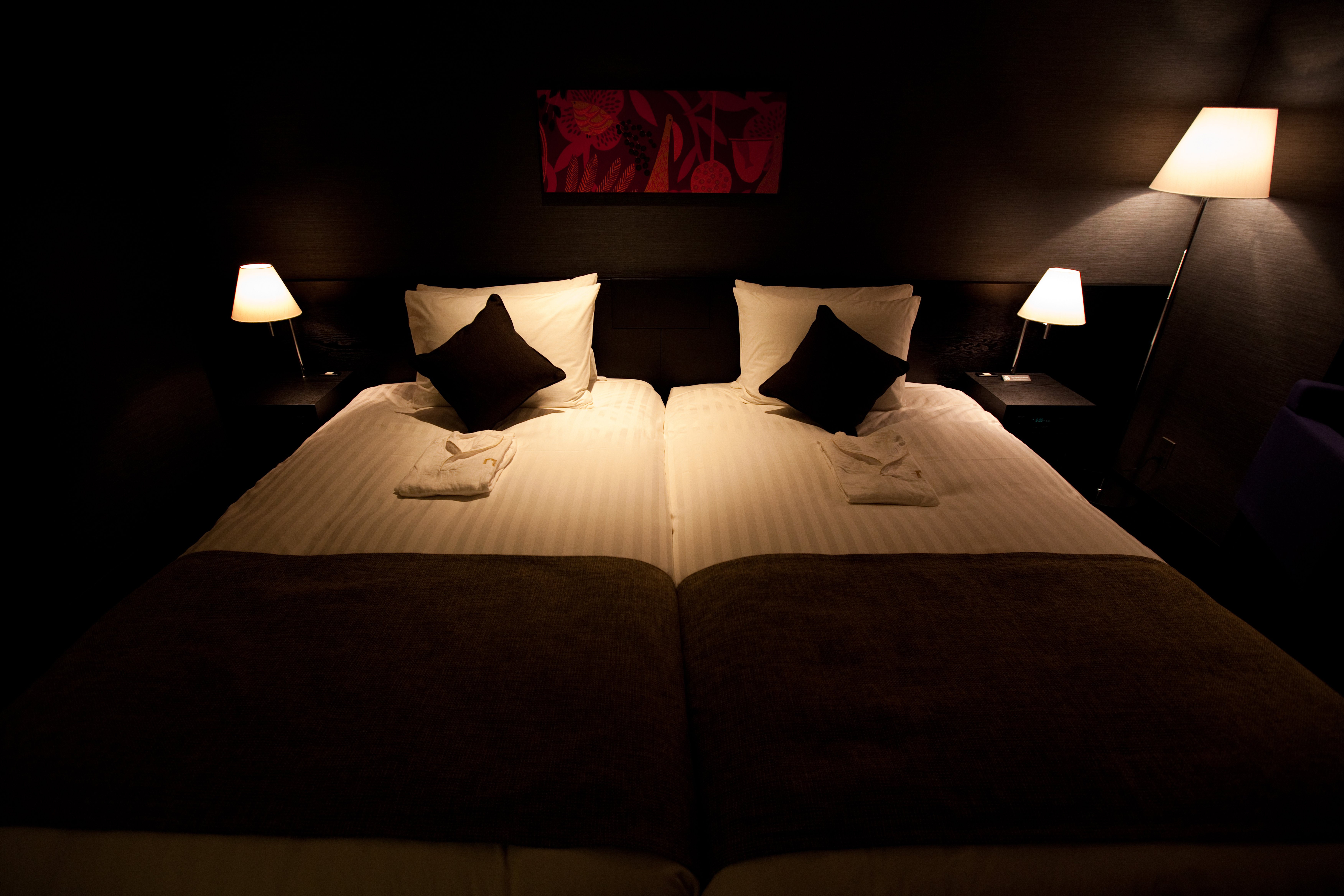 The Gate Hotel Asakusa Kaminarimon by Hulic photo3