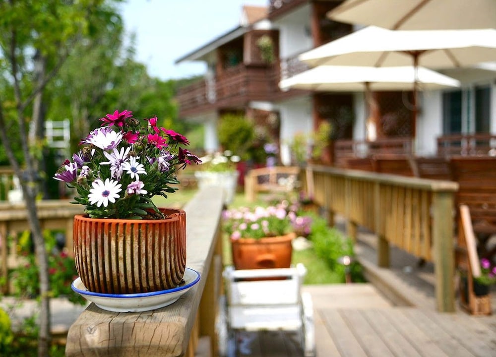 Spa Pension Basso 6/50