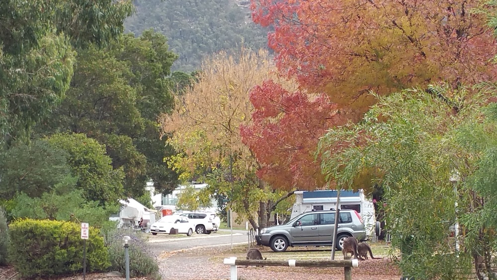 Halls Gap Caravan and Tourist Park 6/49