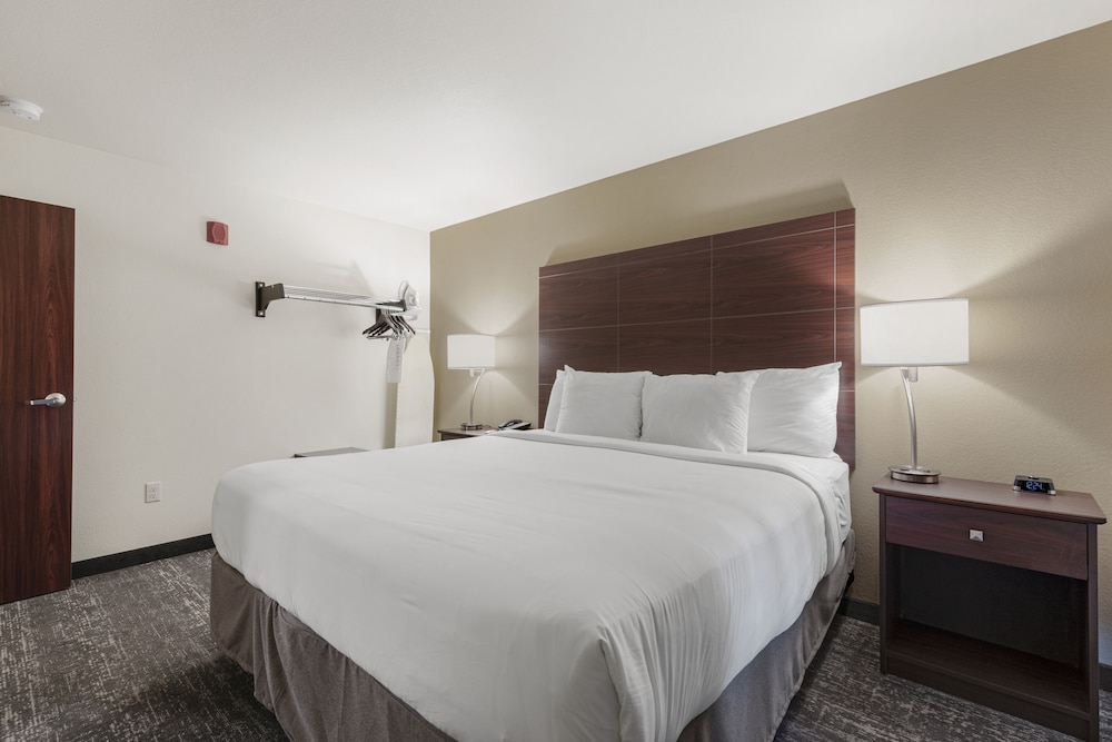 Cobblestone Hotel & Suites - Urbana 14/69
