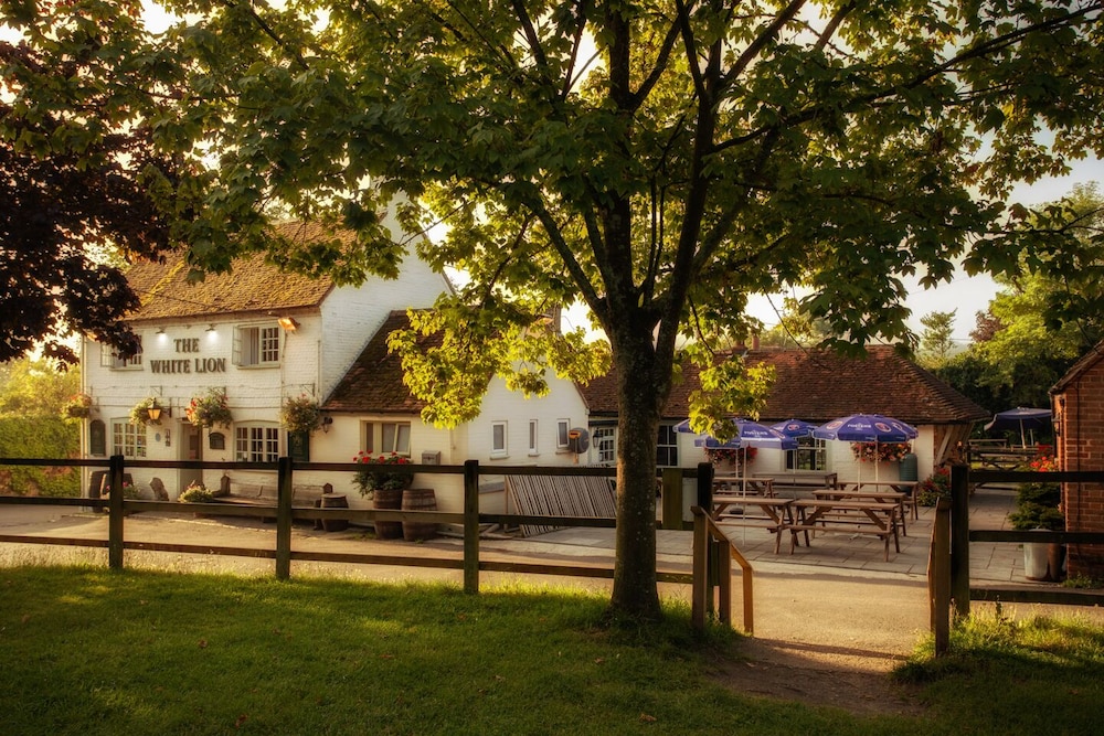 The White Lion 33/44