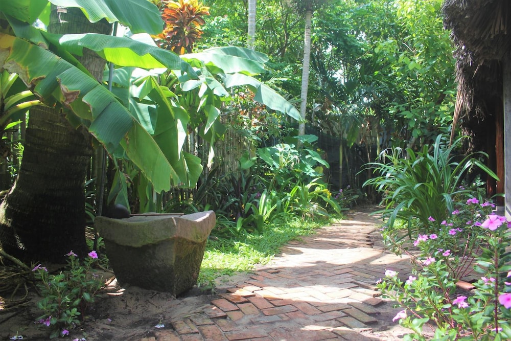 An Bang Beach Hideaway Homestay 39/50