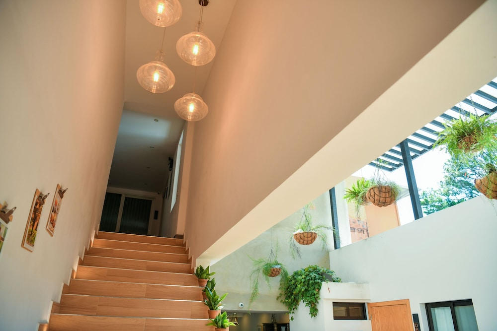 Kaleo Hotel Boutique 5/69