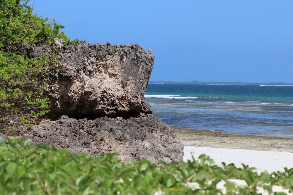 Villa Dahl Beach Resort 34/50