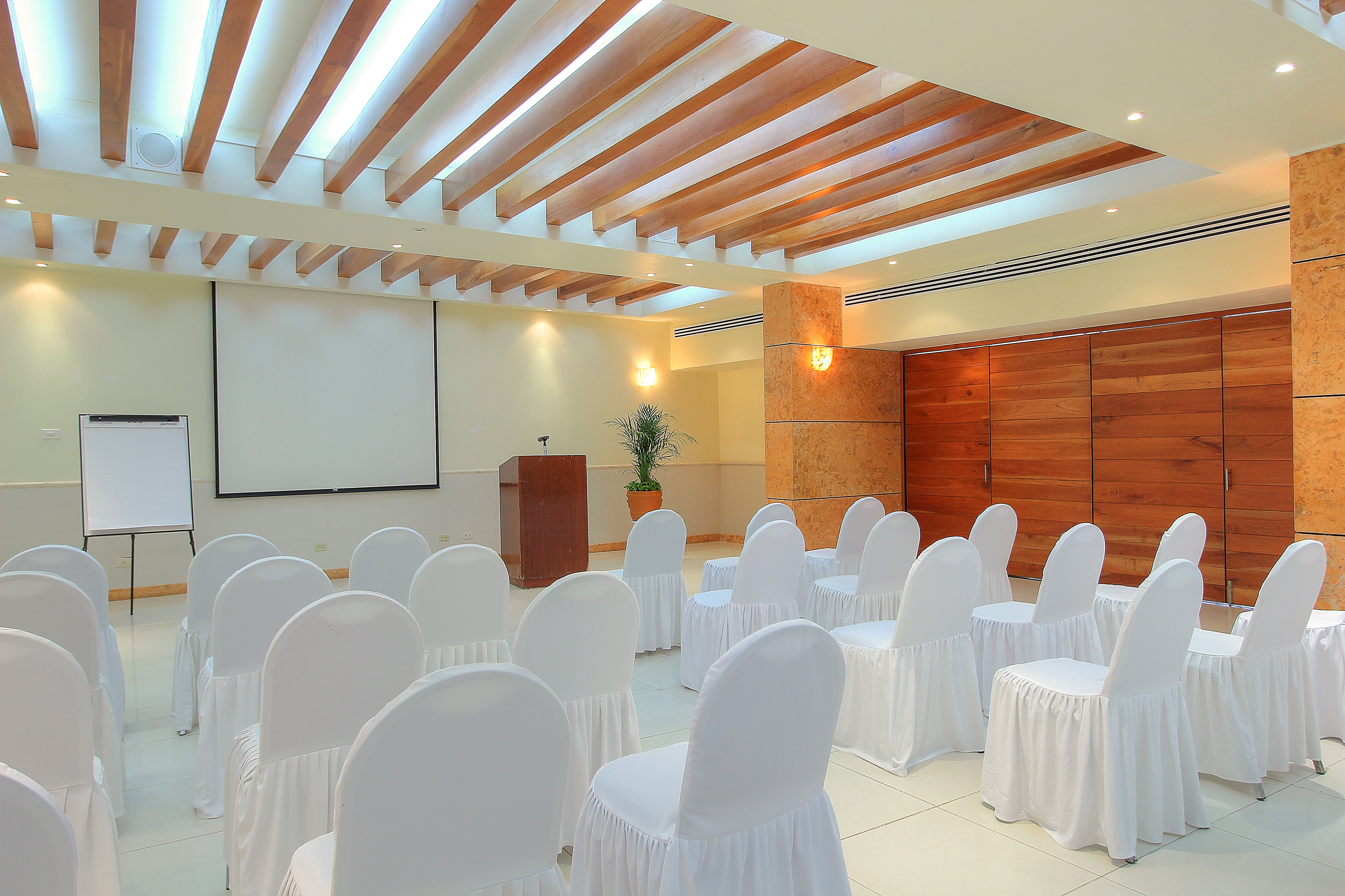 Fiesta Inn Villahermosa Cencali 34/50