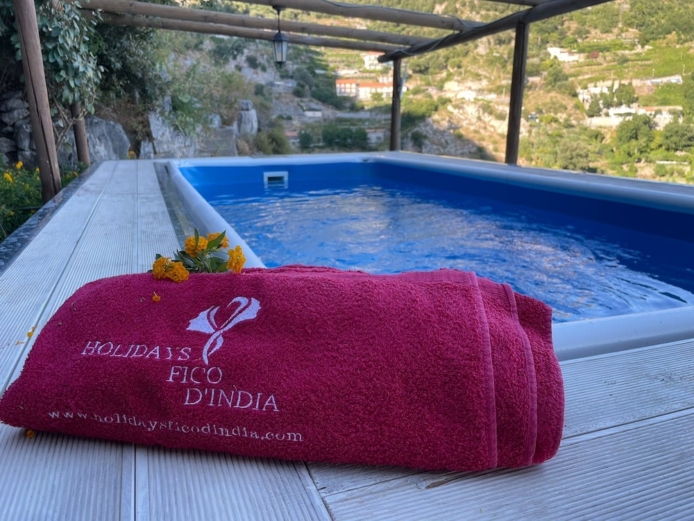 Holidays Fico D Lndia 25/43