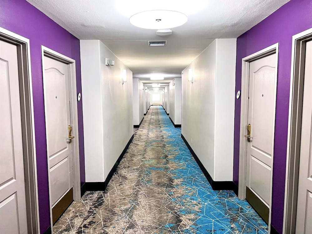 La Quinta Inn & Suites by Wyndham Pharr North McAllen 7/58