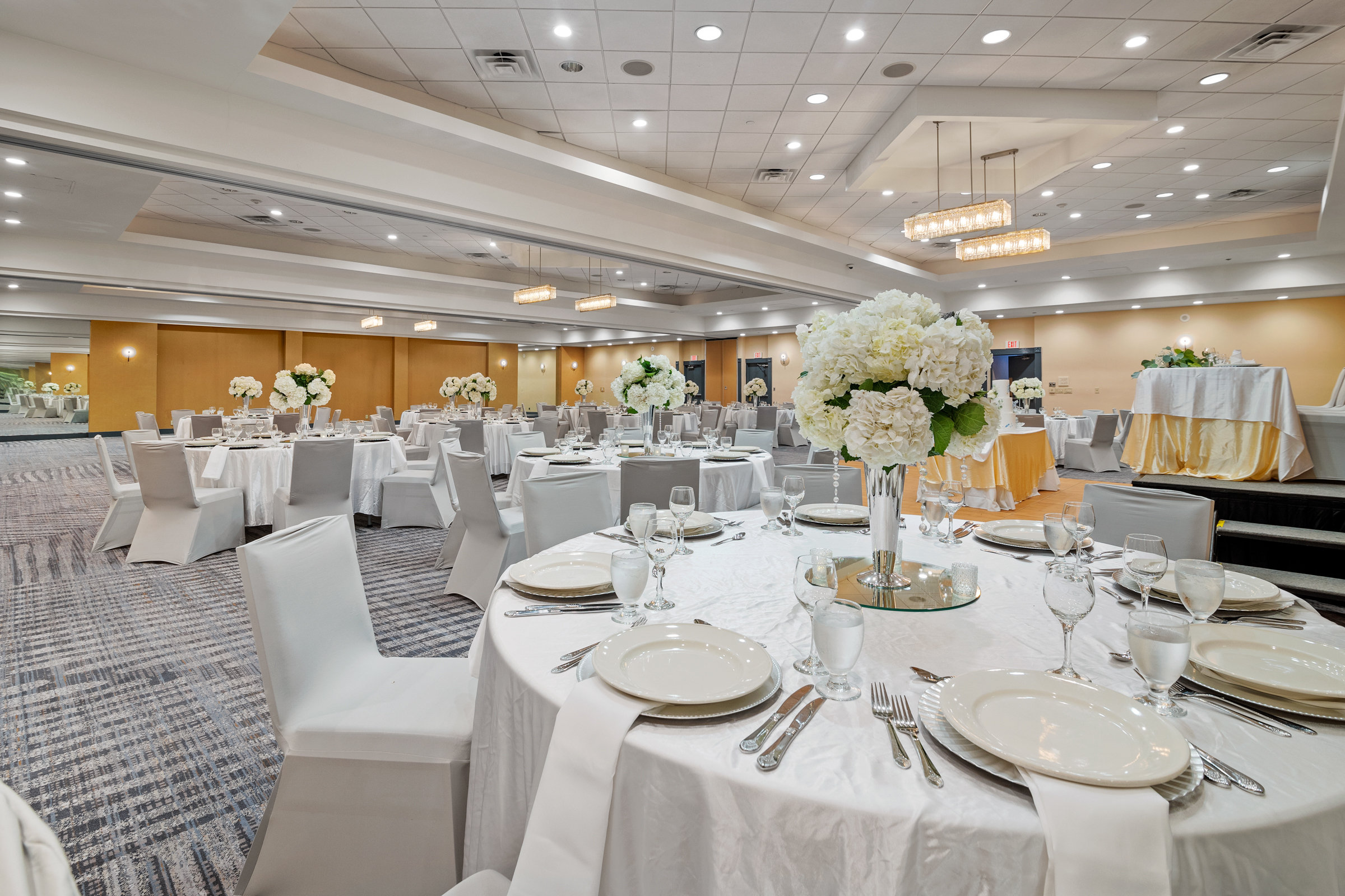 Crowne Plaza Houston Med Ctr-Galleria Area 51/75