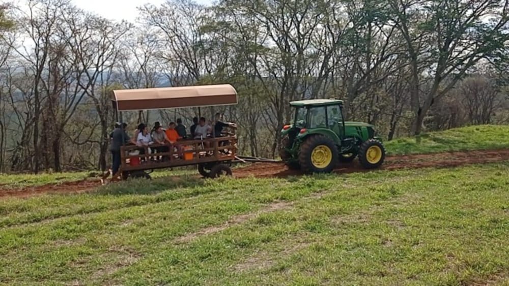 Hotel Fazenda Bela Vista 43/50