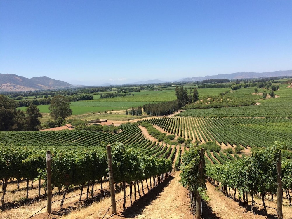 NOI BLEND COLCHAGUA 58/65