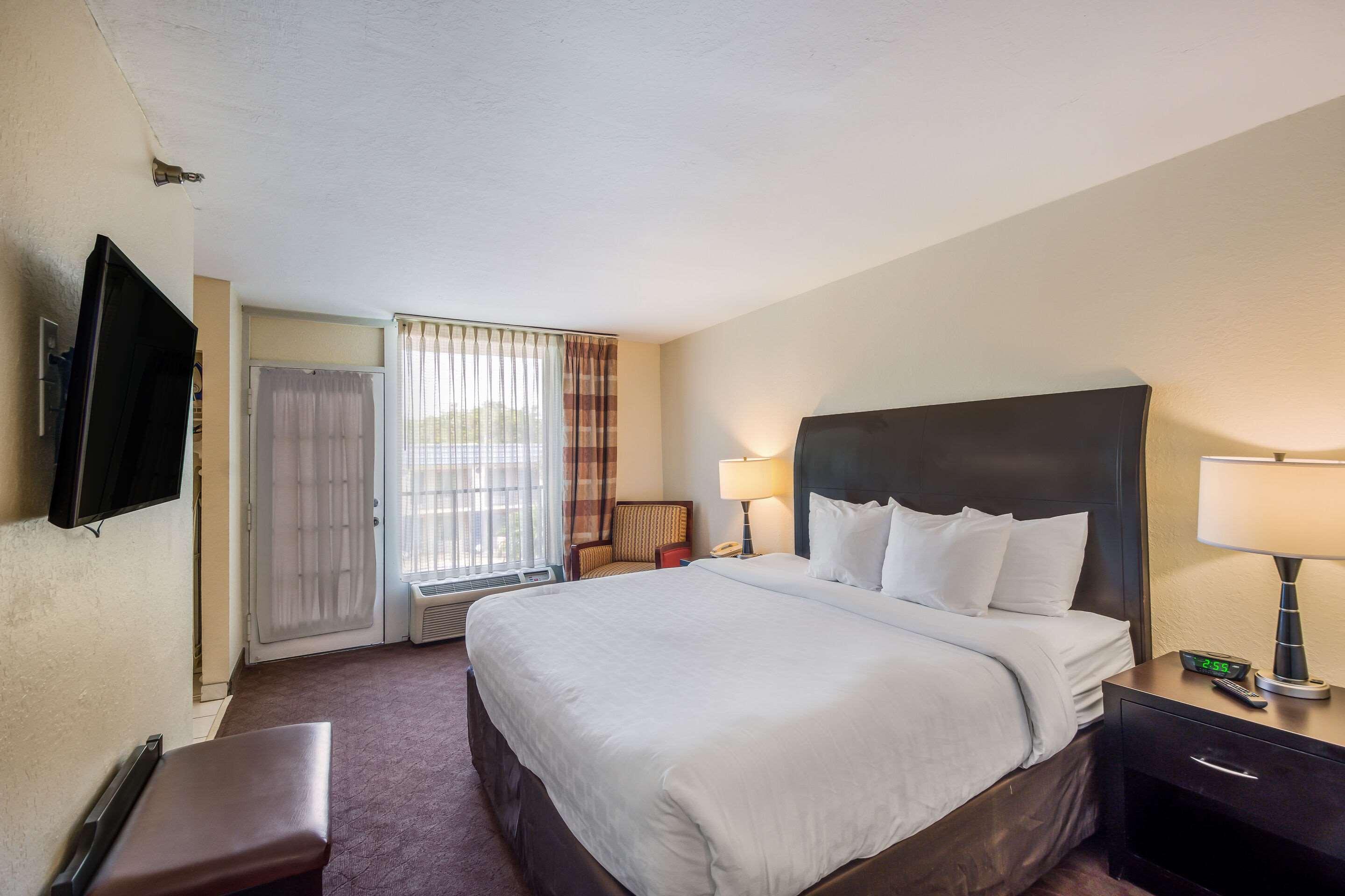 SUITE, KING BED