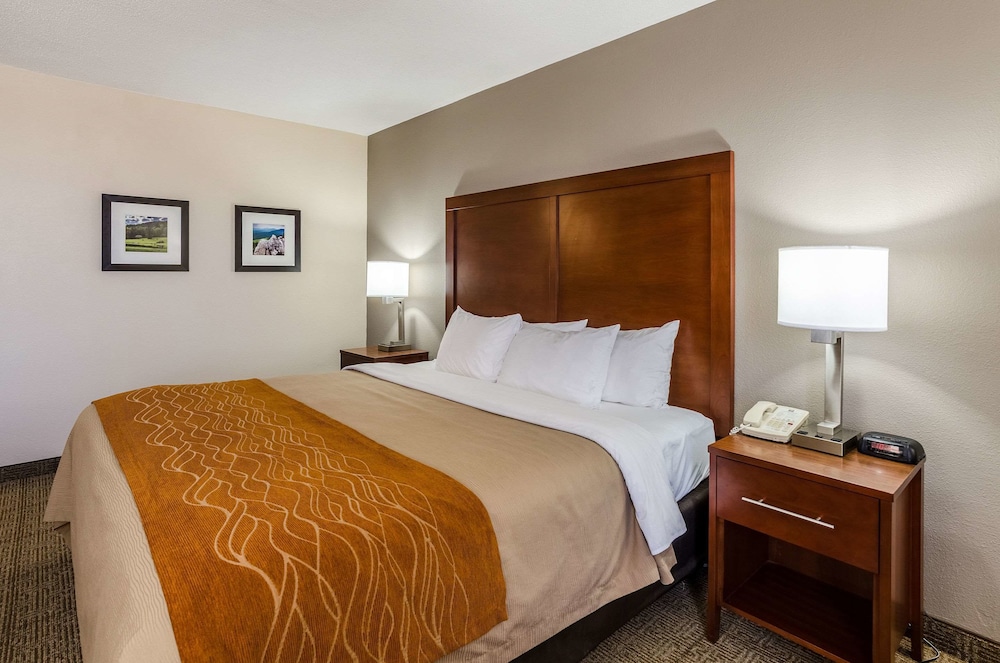 Comfort Inn Blacksburg University Area 11/36
