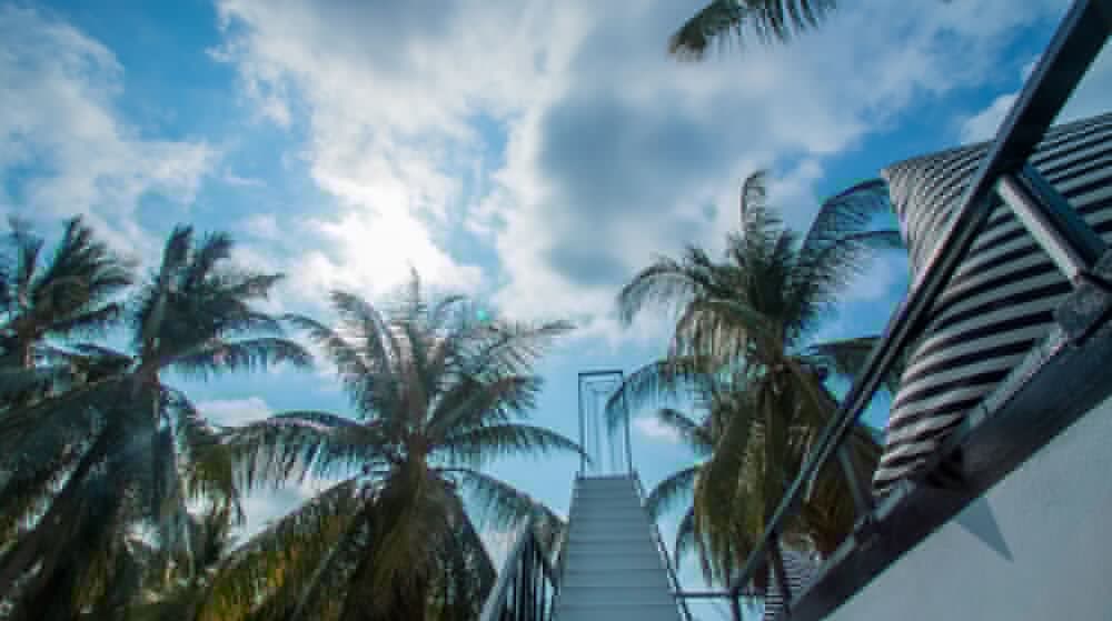 Koh Kood Bed's 56/65