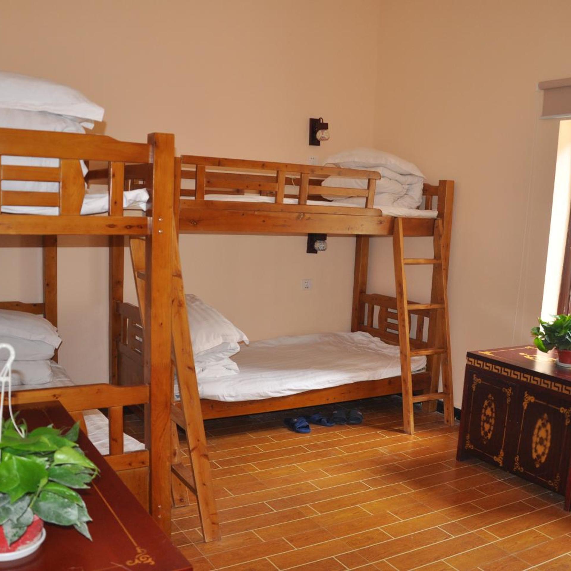 Holly Hostel 27/50