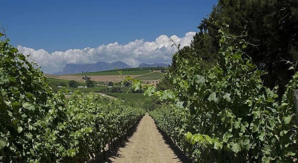 Clos Malverne Wine Estate Accommodation 35/46